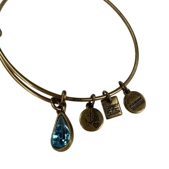 Alex and Ani December Birth Month Charm Rafaelian Gold Finish Bangle Bracelet - Picture 3 of 5